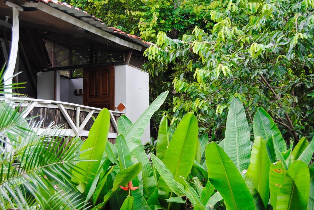 Hacienda Sarah Nosara Exterior foto
